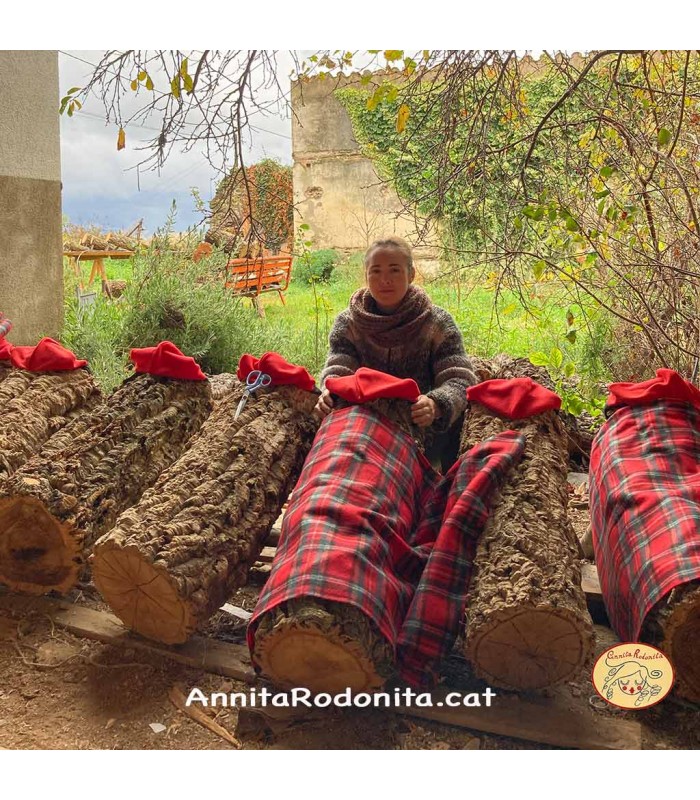 Tió de Nadal Jeroni