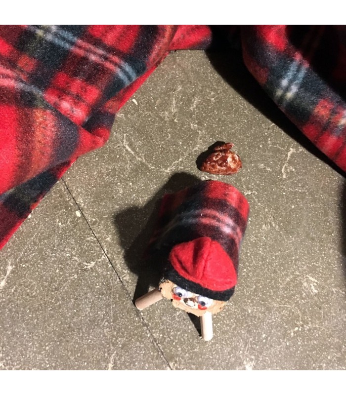 Tió de Nadal Rialler